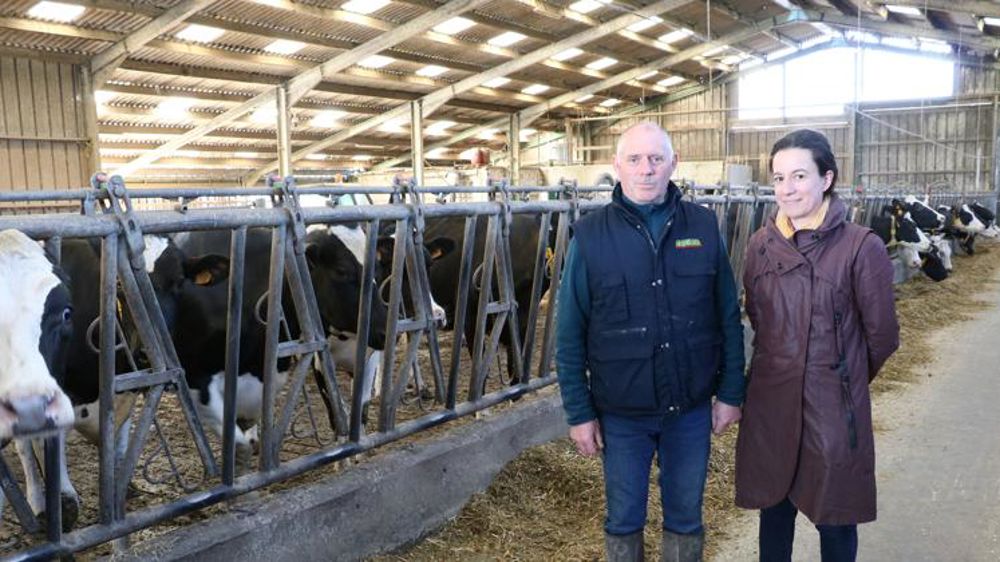 Une alimentation régionale pour les bovins