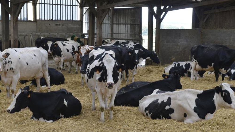 Les règles de la conditionnalité pour 2019