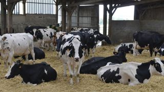 Les règles de la conditionnalité pour 2019 Les règles de la conditionnalité pour 2019