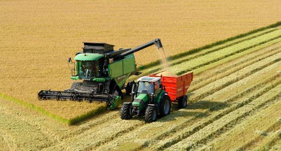 L'Usda a revu à la hausse la production mondiale de blé