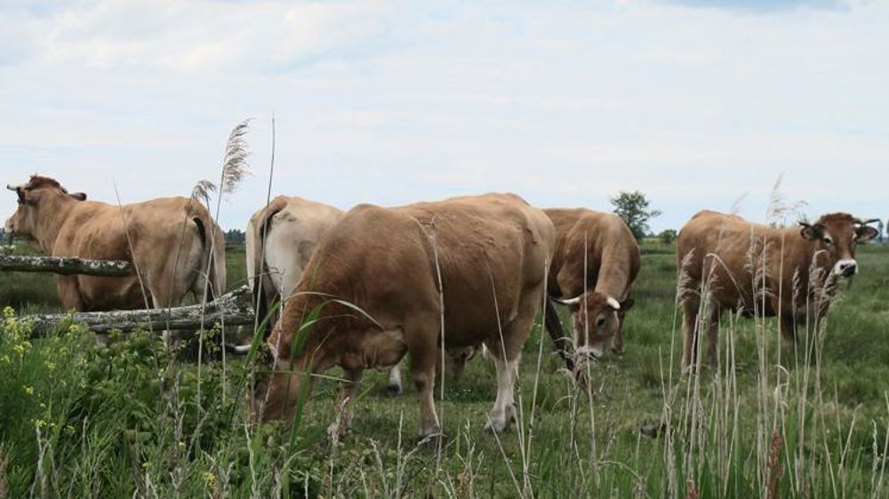 Changement de régime pour nourrir l’Europe en 2050