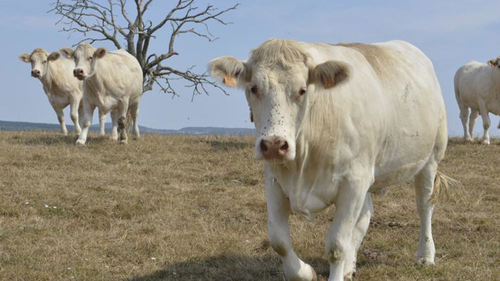 42 départements reconnus sinistrés