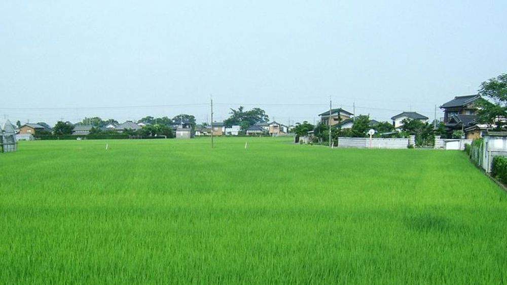 L’agriculture au menu des pourparlers États-Unis/Japon