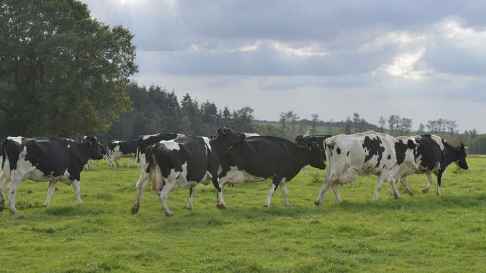 Les priorités des contrôles en élevage en 2019