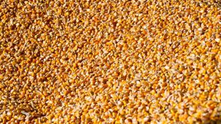 La hausse des importations pèse sur l’excédent agroalimentaire La hausse des importations pèse sur l’excédent agroalimentaire