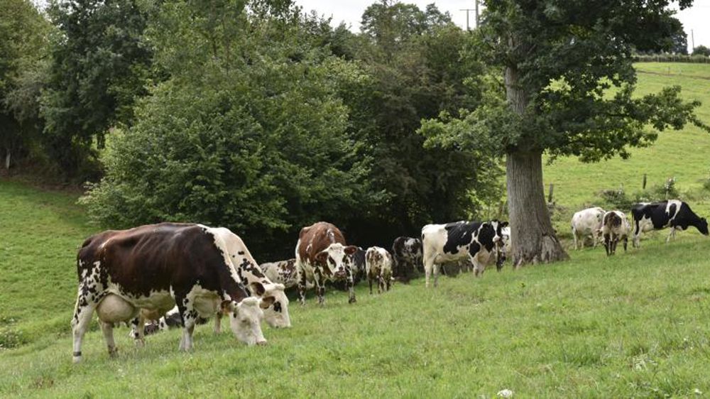 FMB Grand-Ouest et Normandie se regroupent