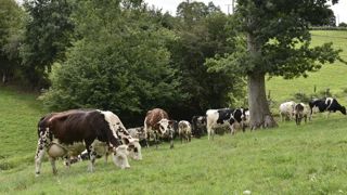 FMB Grand-Ouest et Normandie se regroupent FMB Grand-Ouest et Normandie se regroupent