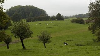 Protéger l’environnement vaut bien une exonération fiscale Protéger l’environnement vaut bien une exonération fiscale