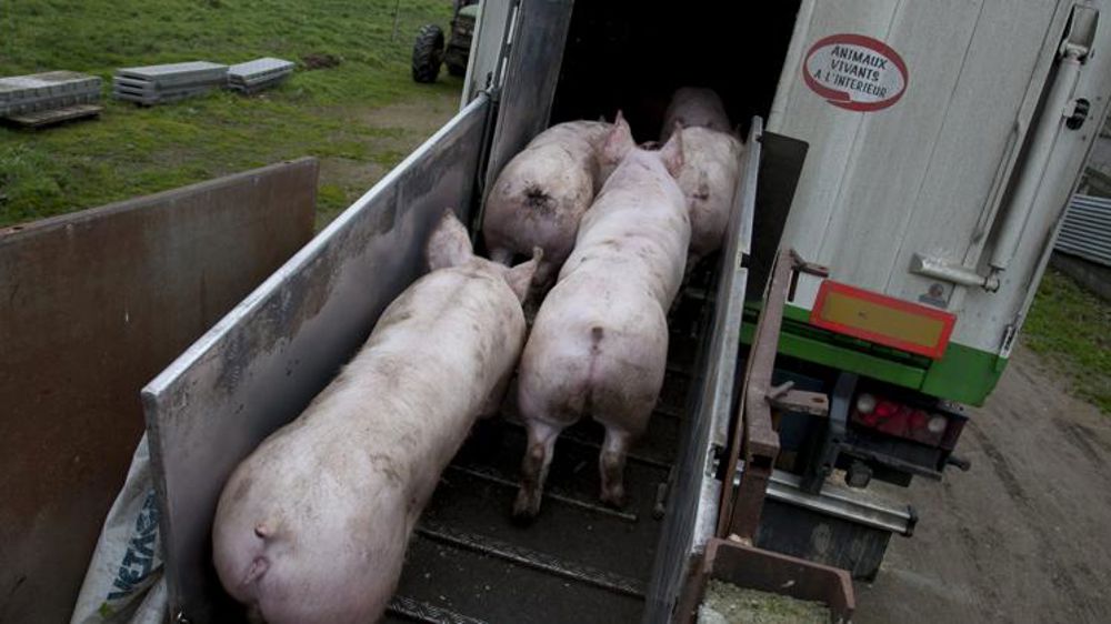 Des règles de transport renforcées