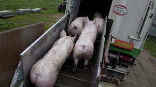 Des règles de transport renforcées Des règles de transport renforcées