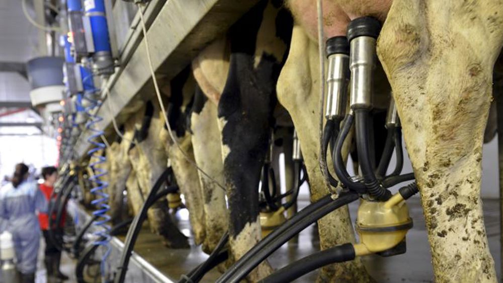 La FNPL interpelle Sodiaal