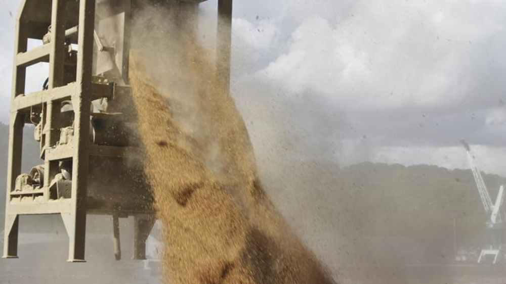 Des exportations de blé dynamiques