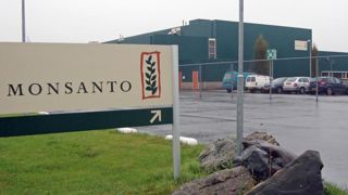 Des militants anti-OGM investissent une usine à Trèbes Des militants anti-OGM investissent une usine à Trèbes
