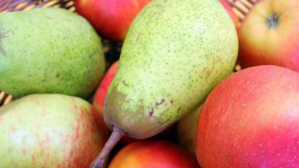 Des stocks en hausse sur un an