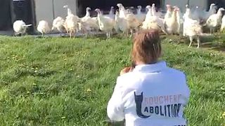 Douze militants de la cause animale en garde à vue à Rouen Douze militants de la cause animale en garde à vue à Rouen