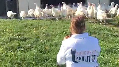 Douze militants de la cause animale en garde à vue à Rouen Douze militants de la cause animale en garde à vue à Rouen