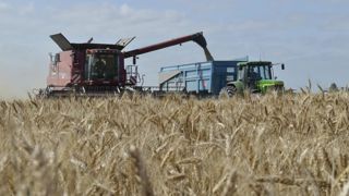Hausse de la production européenne en 2019 Hausse de la production européenne en 2019