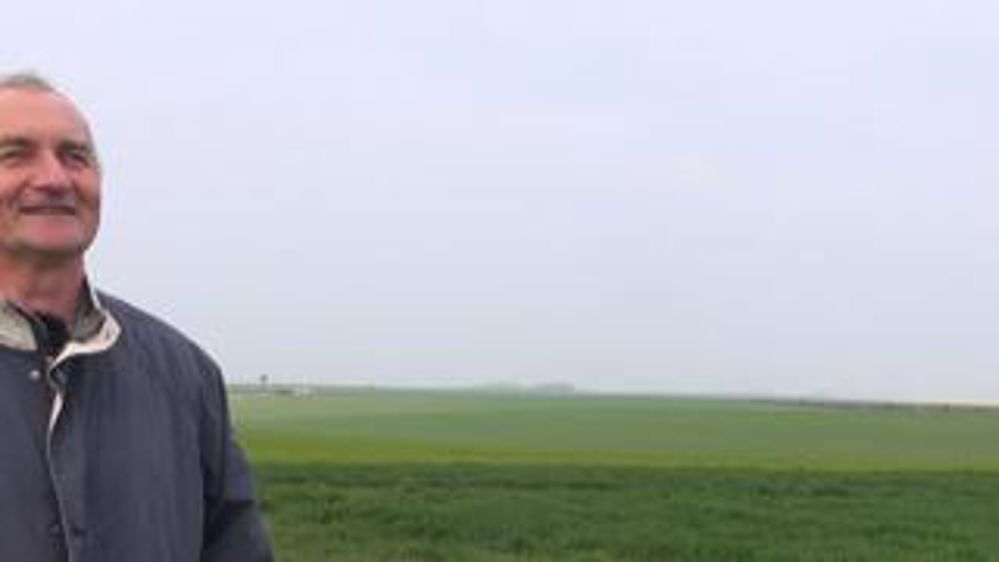 « Je cultive trois blés de suite sous couvert de luzerne »