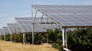 Du bio à l’ombre du photovoltaïque Du bio à l’ombre du photovoltaïque
