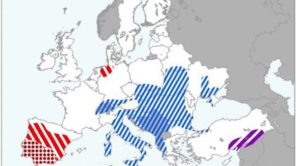 Des rendements prévus en hausse de 0,2 %