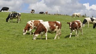 Lactalis et Lidl s’accordent à nouveau sur 355 €/1 000 l Lactalis et Lidl s’accordent à nouveau sur 355 €/1 000 l