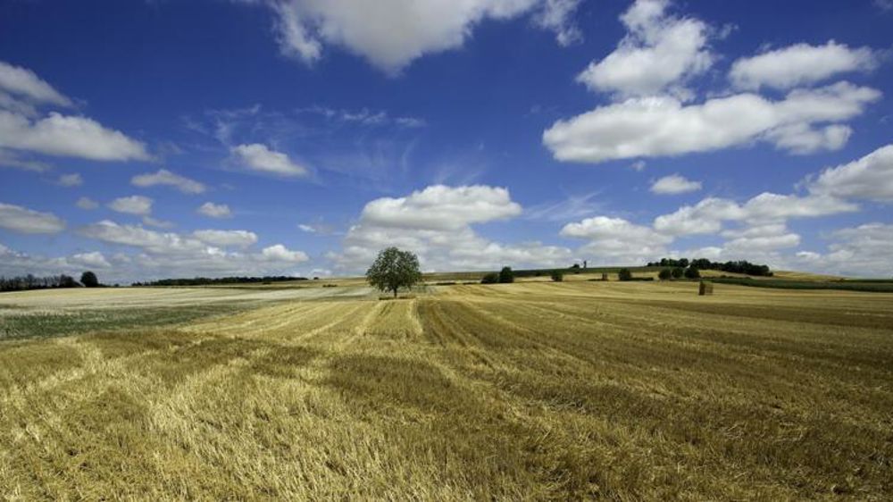 Le conglomérat chinois mis en faillite