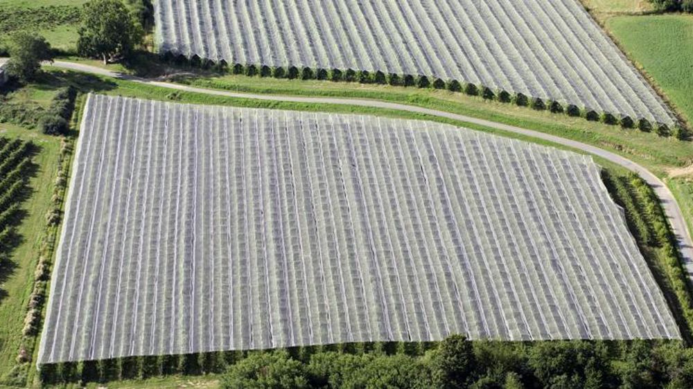 Assurance et prévention en duo