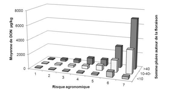 La nouvelle grille d’évaluation du risque déoxynivalénol (Don) prend en compte de manière plus précise l’influence du climat afin d’optimiser davantage le traitement antifusariose ciblé contre Fusarium graminearum et F. culmorum, principales espèces fongiques productrices de Don.