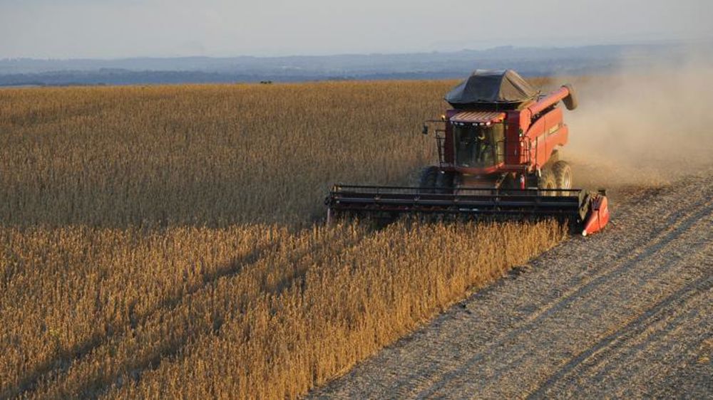 Le Brésil en route pour une récolte record