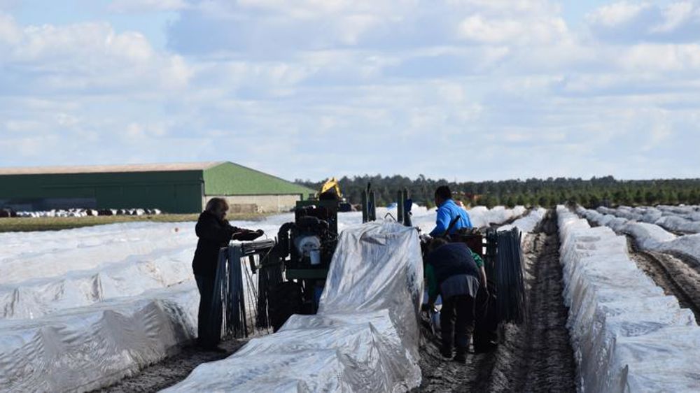 Embaucher des bénéficiaires du RSA