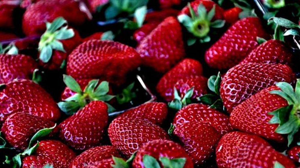 La campagne se termine plutôt bien