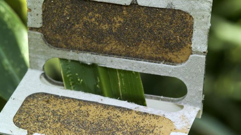 Un marché en forte progression