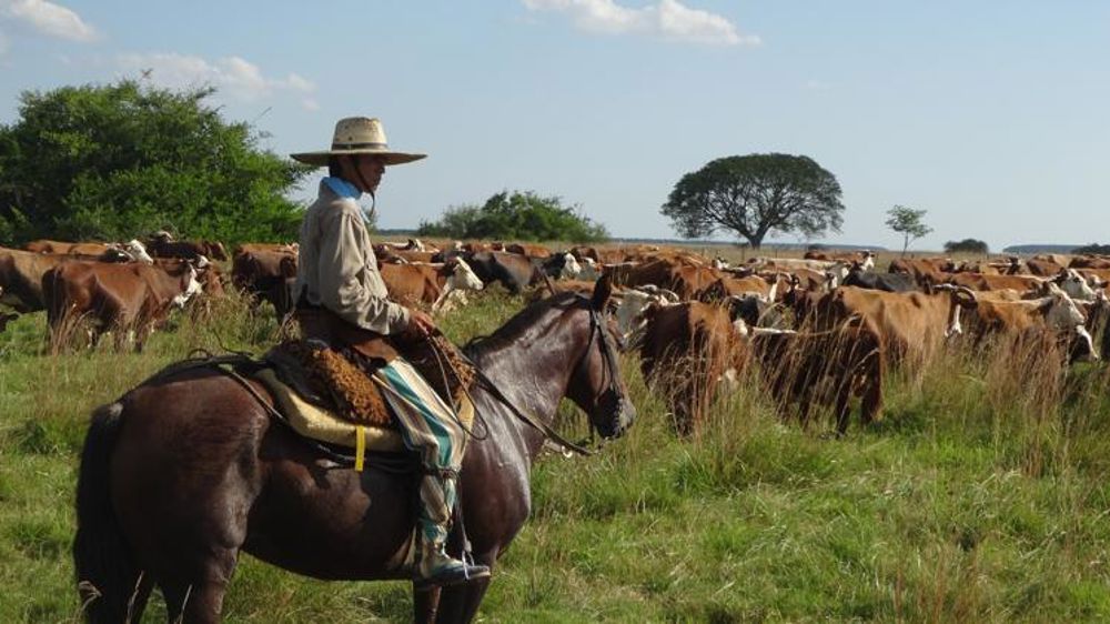 Dix experts pour évaluer l’accord avec le Mercosur