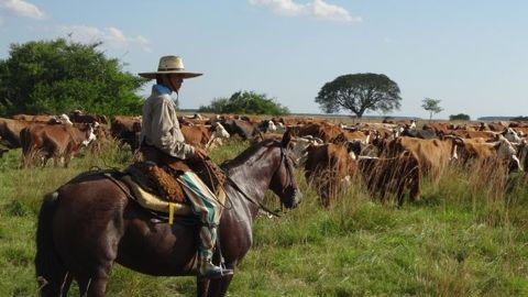 Dix experts pour évaluer l’accord avec le Mercosur