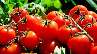 « Améliorer le goût des fruits pour qu’ils soient plus consommés » « Améliorer le goût des fruits pour qu’ils soient plus consommés »