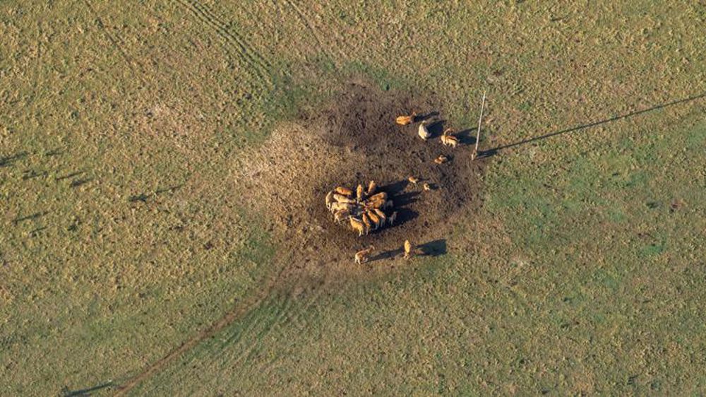 Premier état des lieux des dégâts de la sécheresse