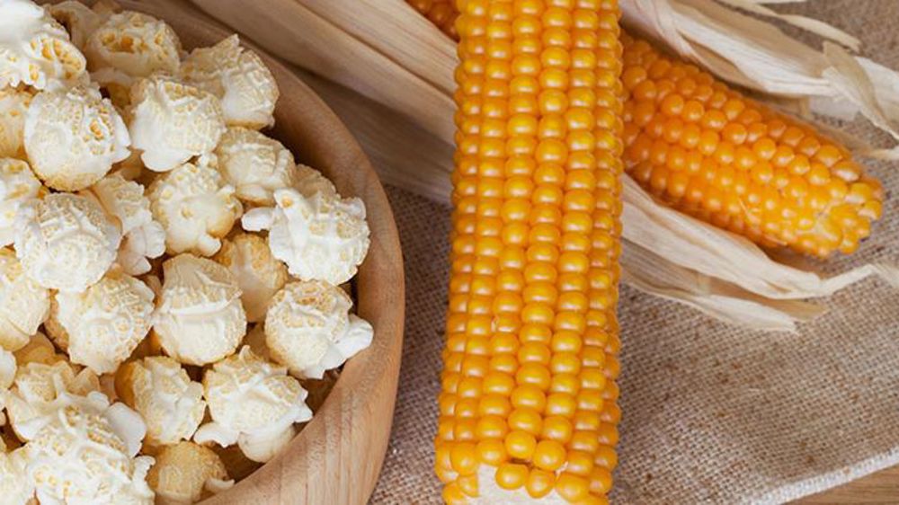 Nataïs cherche de nouveaux producteurs