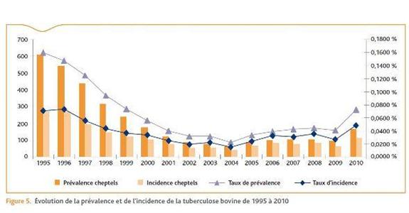 Evolution du nombre de cas de tuberculose en France.