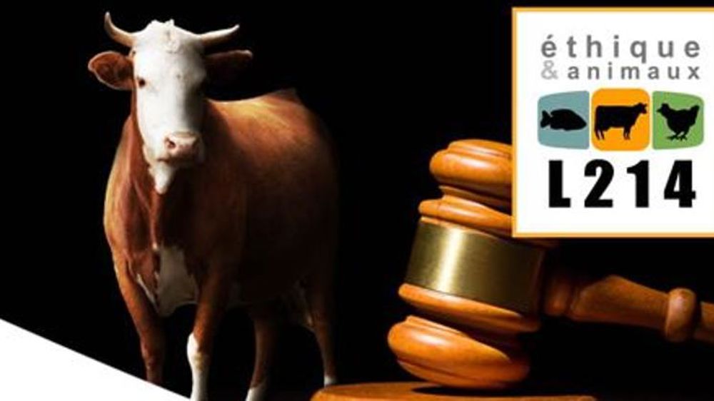 L214 attaque Bigard en justice