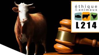 L214 attaque Bigard en justice L214 attaque Bigard en justice