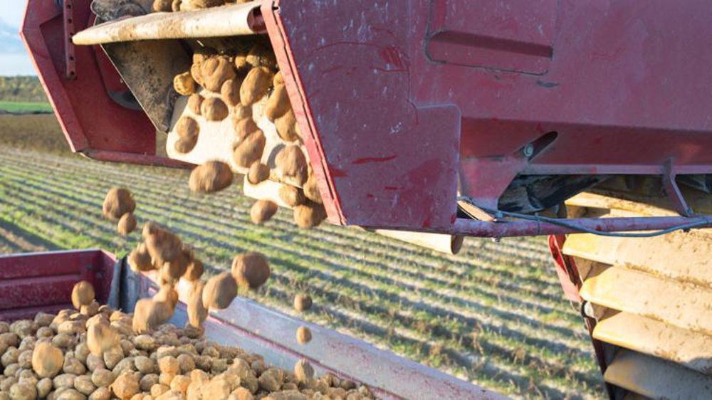 La production se redresse en Europe de l’Ouest