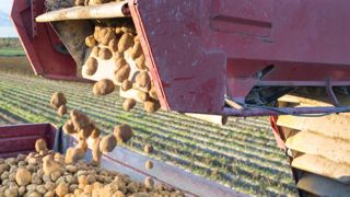 La production se redresse en Europe de l’Ouest La production se redresse en Europe de l’Ouest