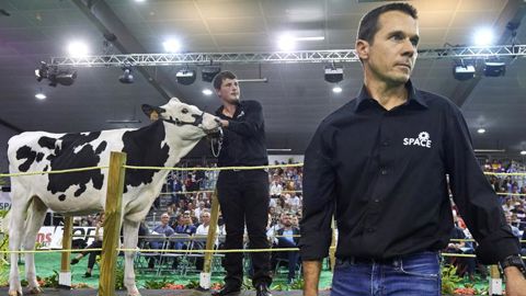 Une génisse prim’holstein vendue 8 600 €