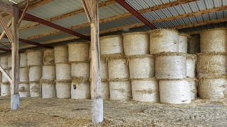 Péages gratuits pour les fourrages Péages gratuits pour les fourrages