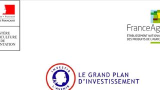 Appel à projets pour la « structuration des filières agricoles et agroalimentair Appel à projets pour la « structuration des filières agricoles et agroalimentair