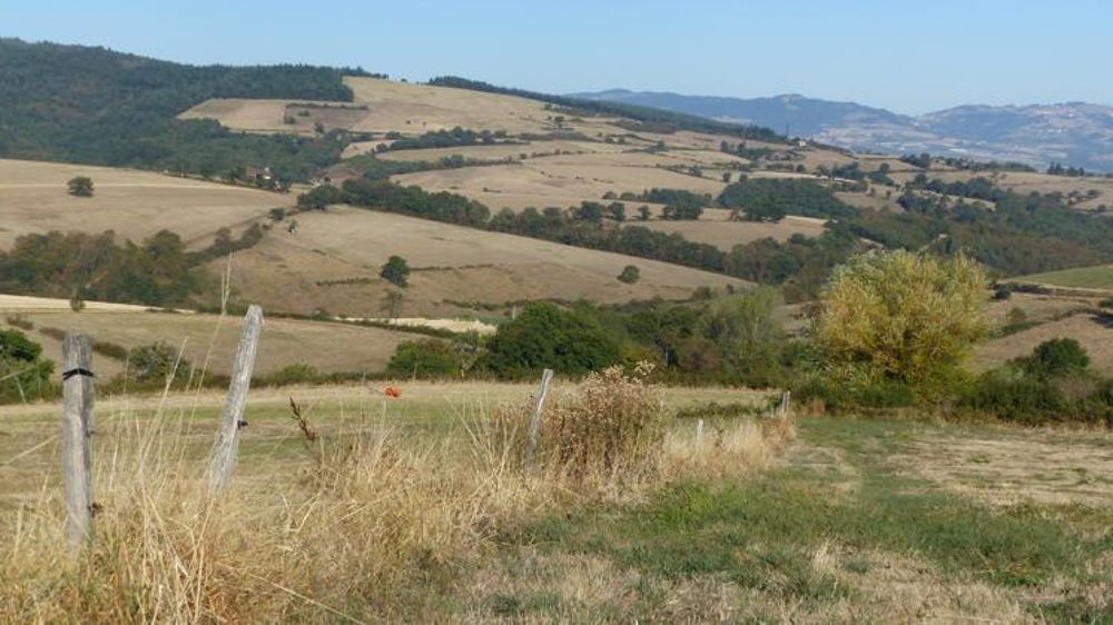 Un coefficient stabilisateur en baisse