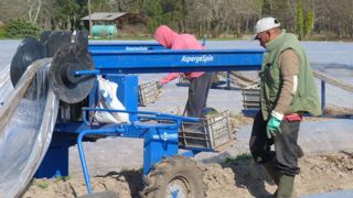 Boom du travail détaché en agriculture Boom du travail détaché en agriculture