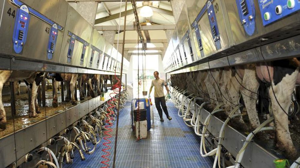 « Les coûts de production couverts à 98 % en Allemagne »