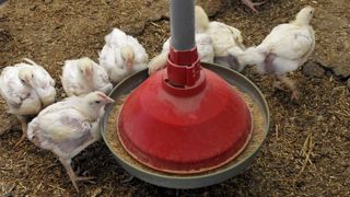 Les fabricants d’aliments optimistes pour 2018 Les fabricants d’aliments optimistes pour 2018