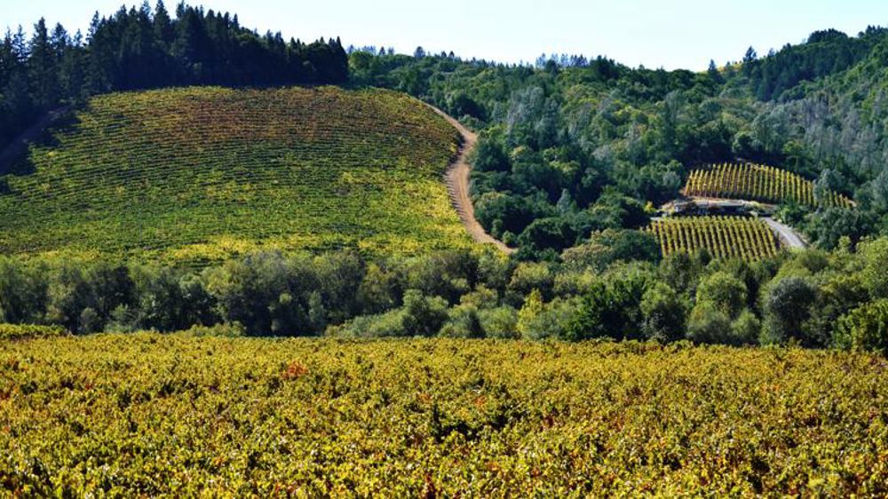 Les grands crus bordelais solidaires des viticulteurs californiens